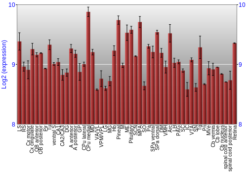 Expression graph