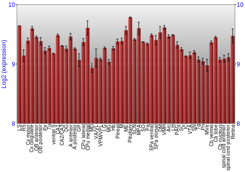 Expression graph