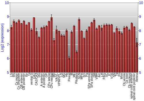 Expression graph