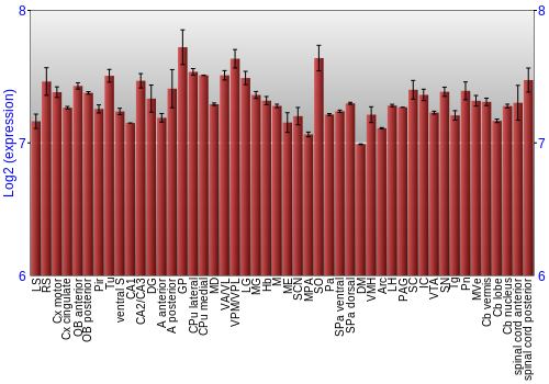 Multi-state expression graph