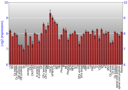 Expression graph