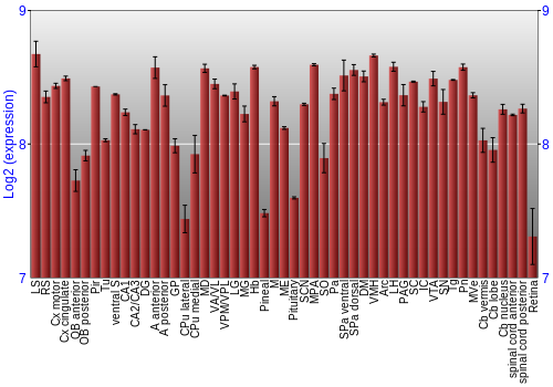 Expression graph