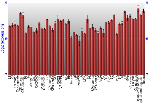 Expression graph