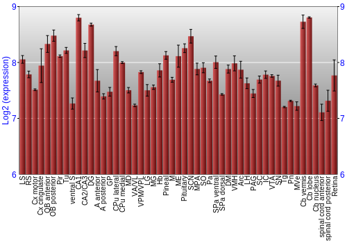Expression graph