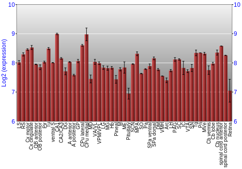 Expression graph
