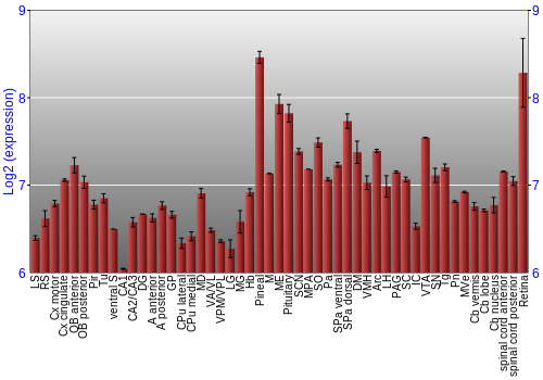 Expression graph
