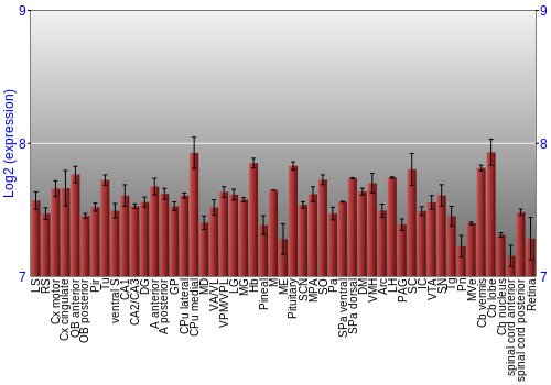 Expression graph