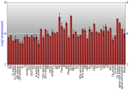 Expression graph