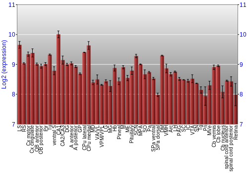 Expression graph