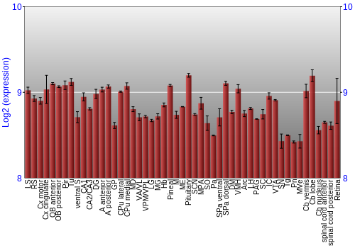 Expression graph