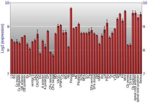 Expression graph
