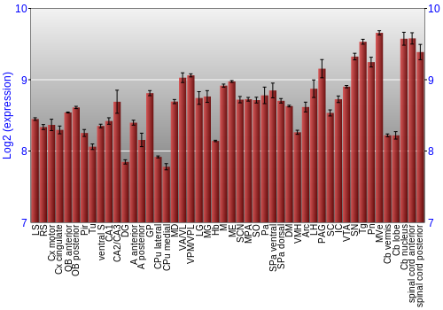 Multi-state expression graph