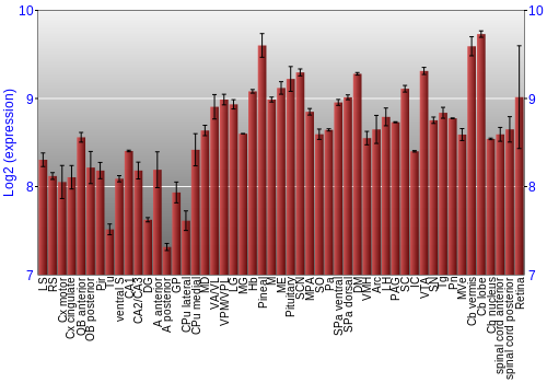 Expression graph
