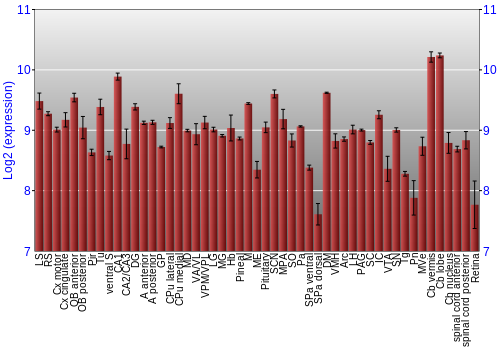 Expression graph