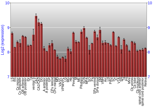 Expression graph