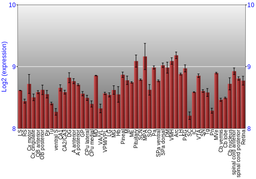 Expression graph