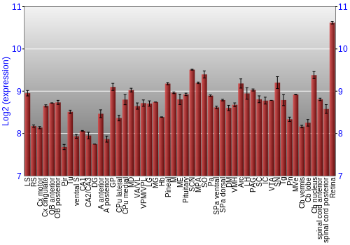 Expression graph