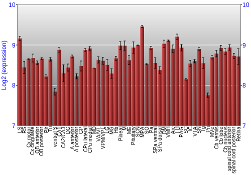 Expression graph