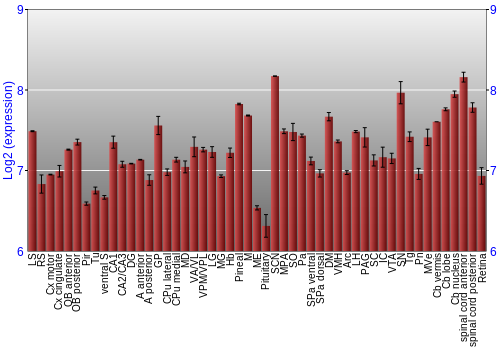 Expression graph