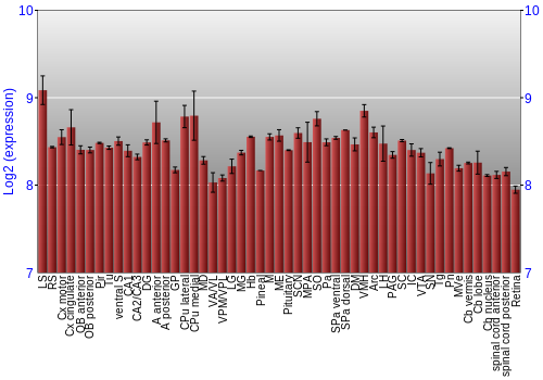Expression graph
