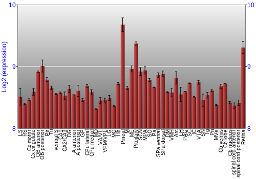 Expression graph