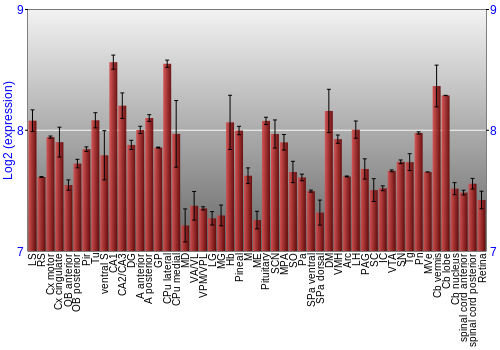 Expression graph