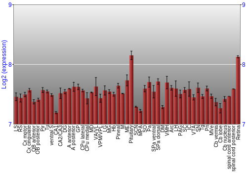 Expression graph