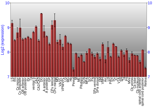 Expression graph