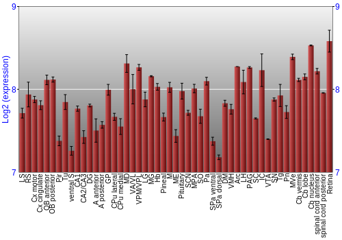 Expression graph