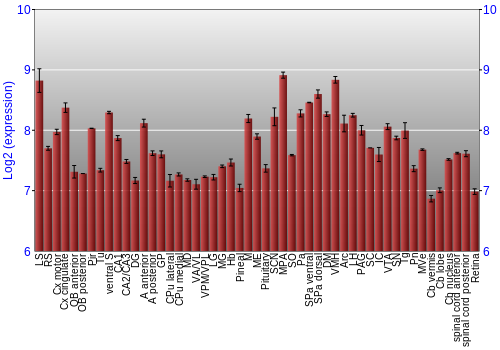 Expression graph