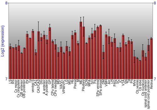 Expression graph
