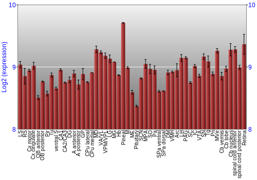 Expression graph