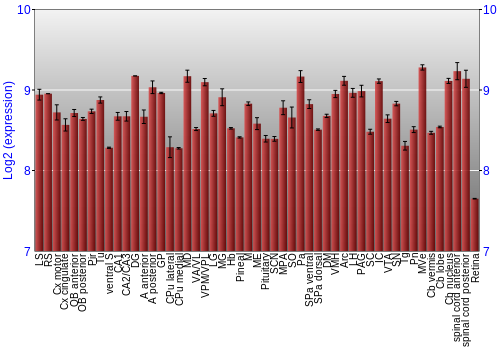 Expression graph
