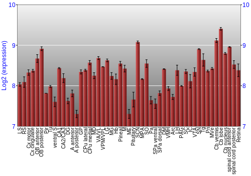 Expression graph