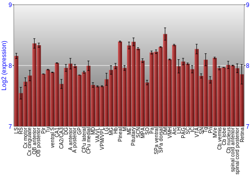 Expression graph