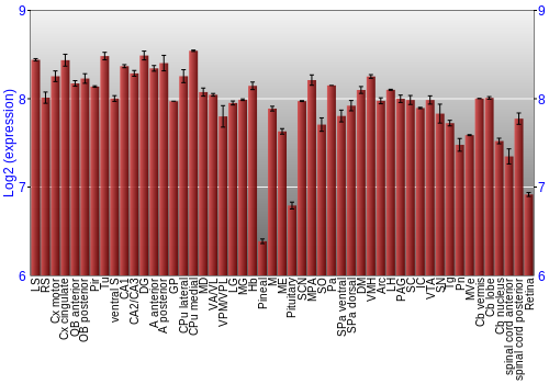 Expression graph