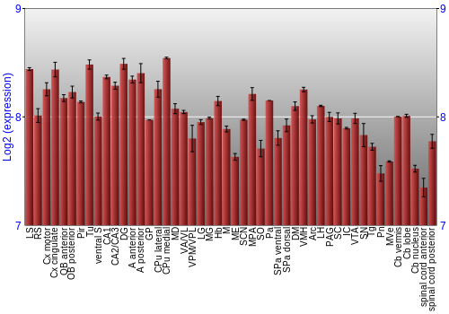 Multi-state expression graph