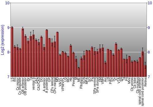 Expression graph
