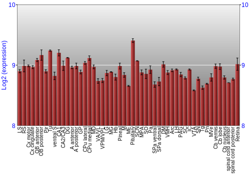 Expression graph