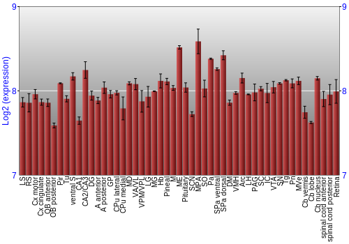 Expression graph