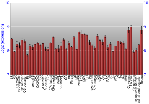 Expression graph