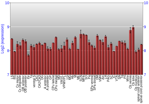 Multi-state expression graph