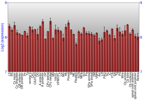 Expression graph