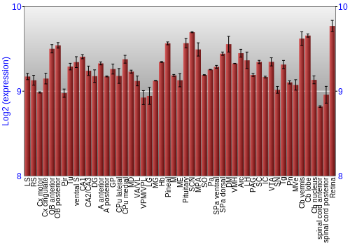 Expression graph