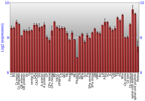 Expression graph