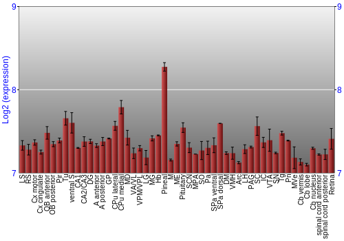 Expression graph