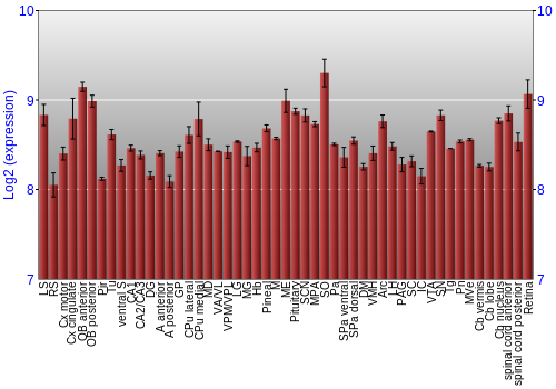 Expression graph