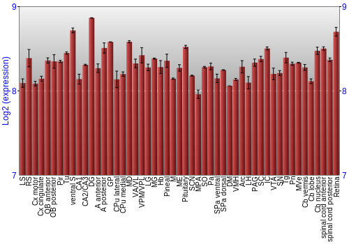 Expression graph