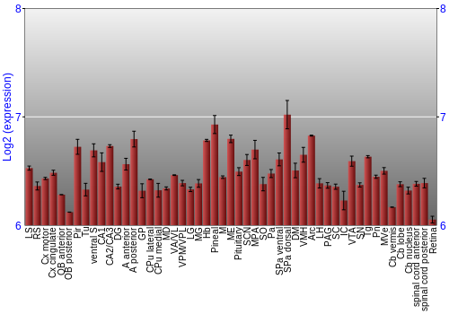 Expression graph