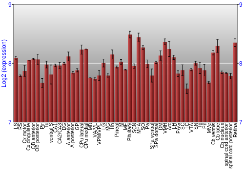 Expression graph